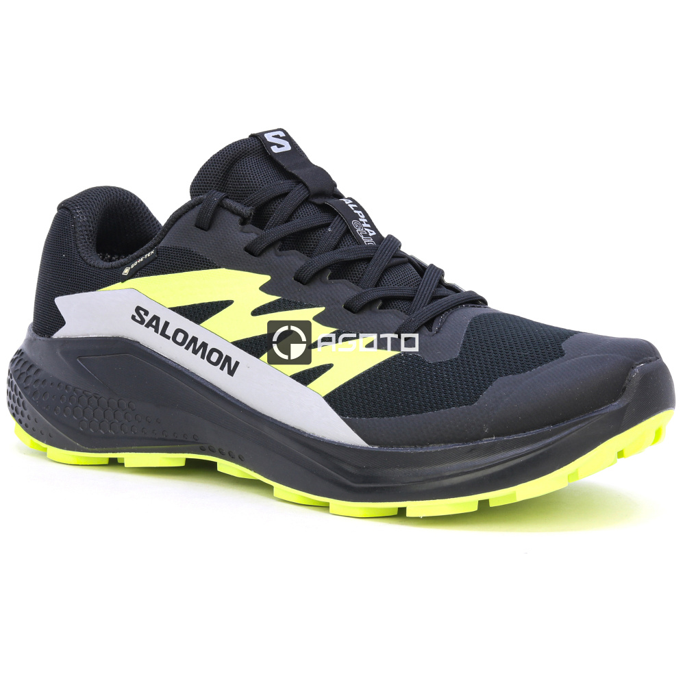 szczegóły Buty trekkingowe SALOMON Alphaglide GTX membrane Gore-Tex®