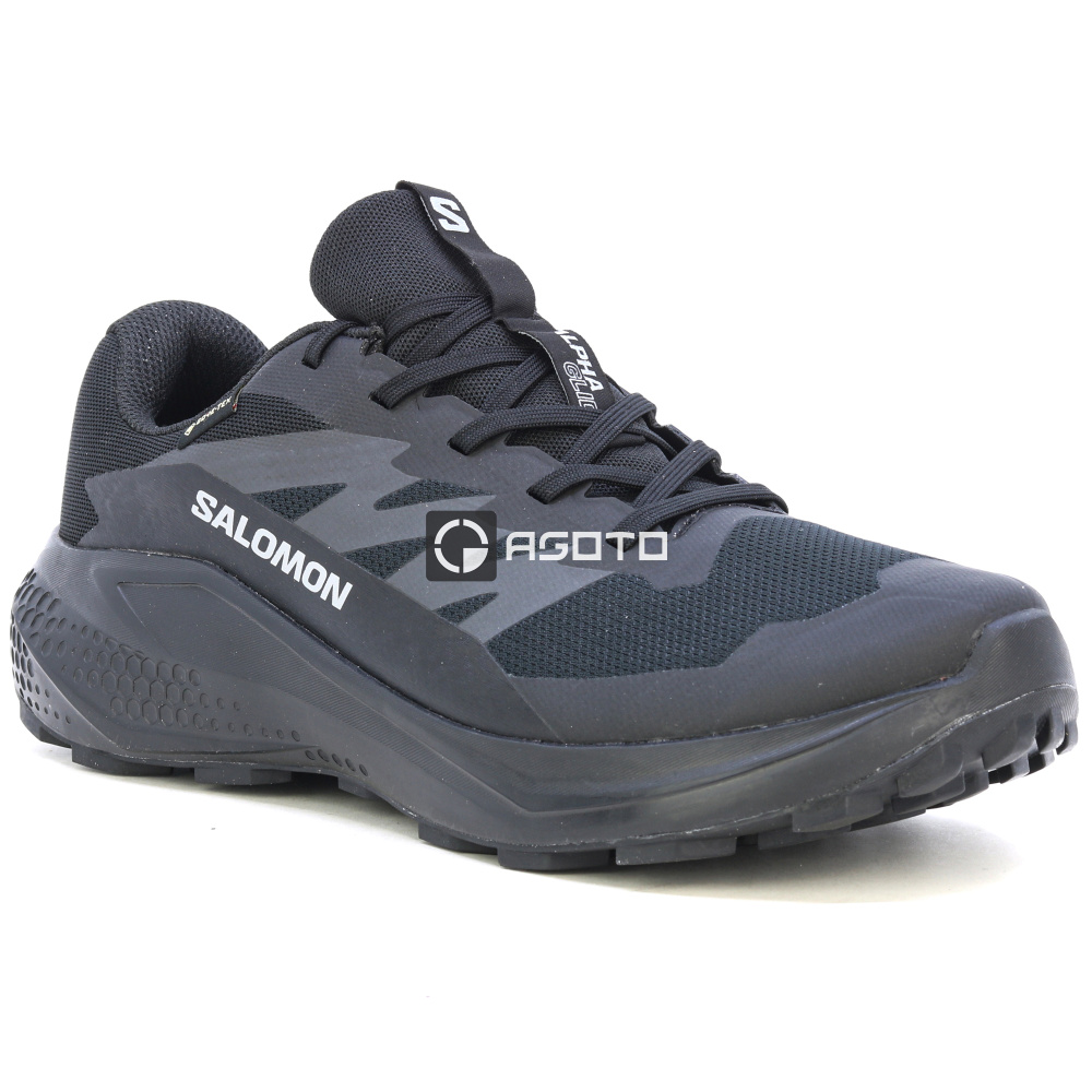 szczegóły Buty trekkingowe SALOMON Alphaglide GTX membrana Gore-Tex®