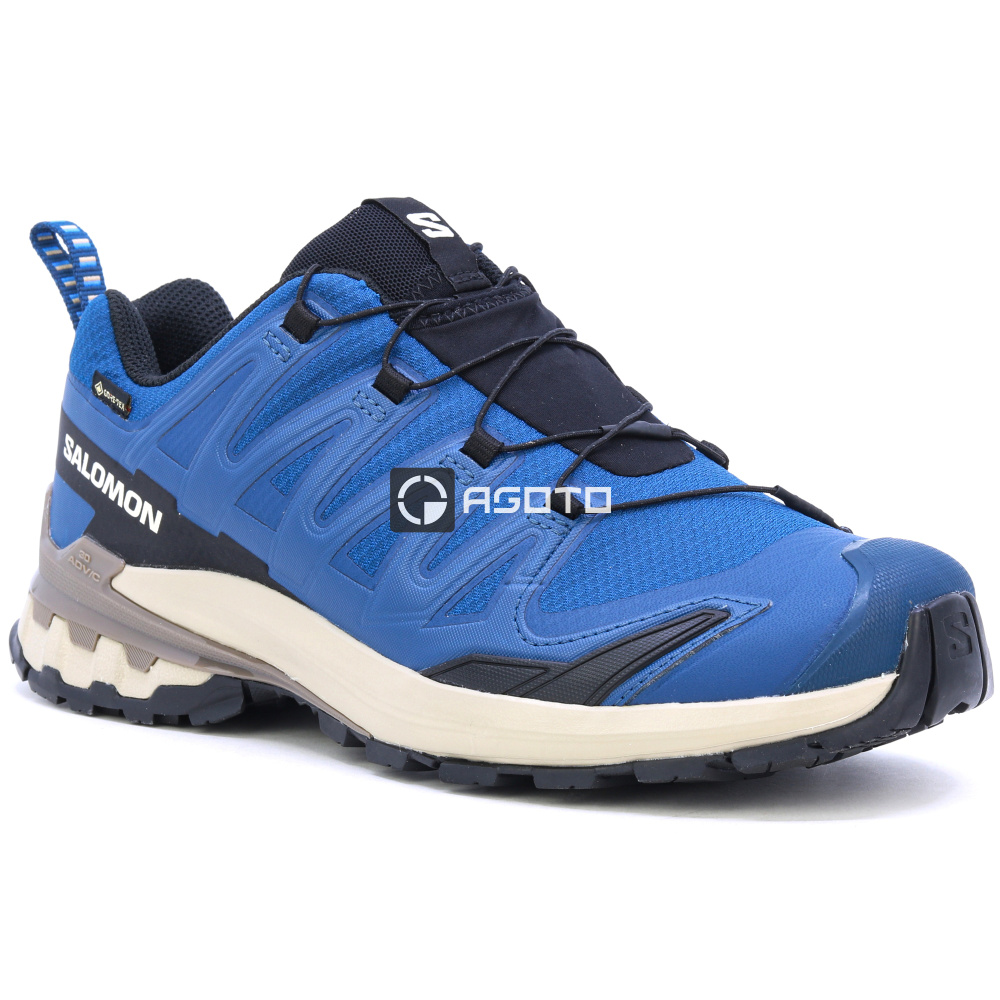 szczegóły Buty trekkingowe SALOMON XA Pro 3D V9 GTX GORE-TEX®